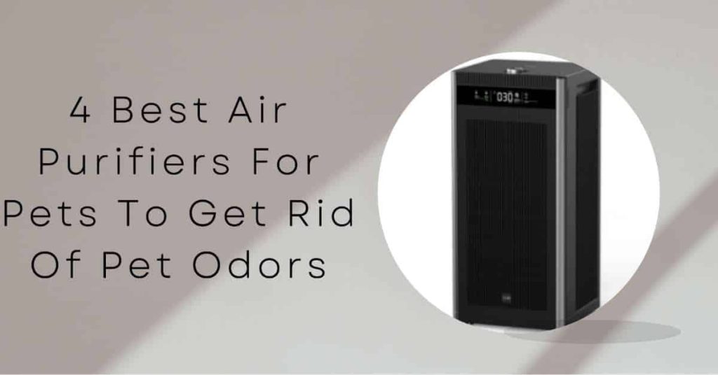 4 Best Air Purifiers for Pets to Get Rid of Pet Odors